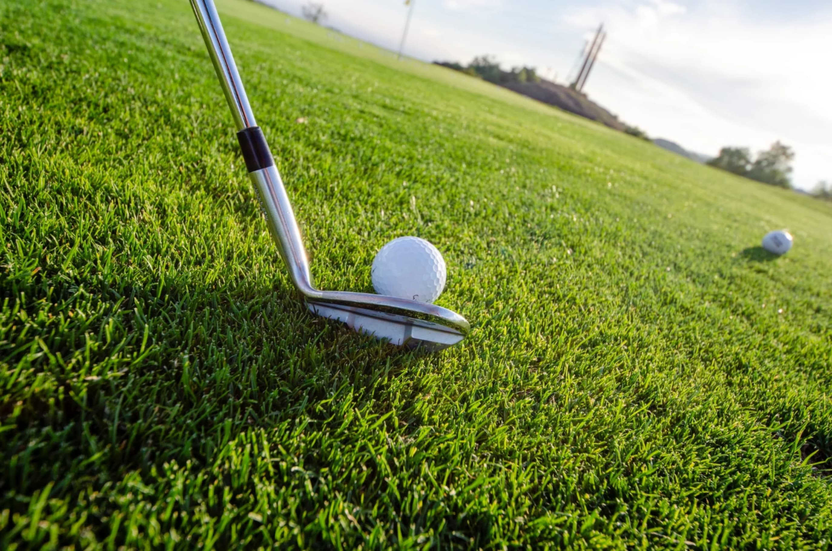 Golf club positioned behind golf ball on green grass course